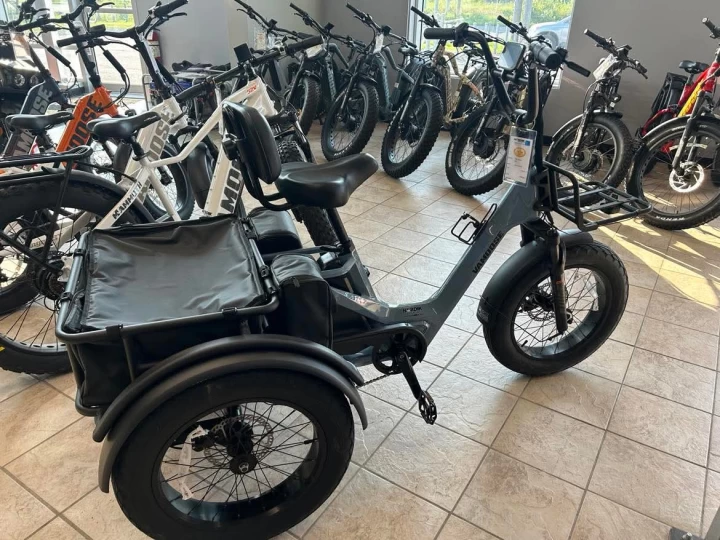 2025 VAMOOSE TRI-CYCLE SST VELO ELECTRIQUE
